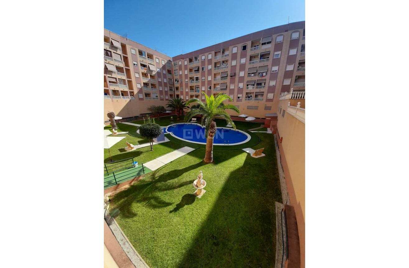Reventa - Apartamento / piso - Torrevieja - Costa Blanca