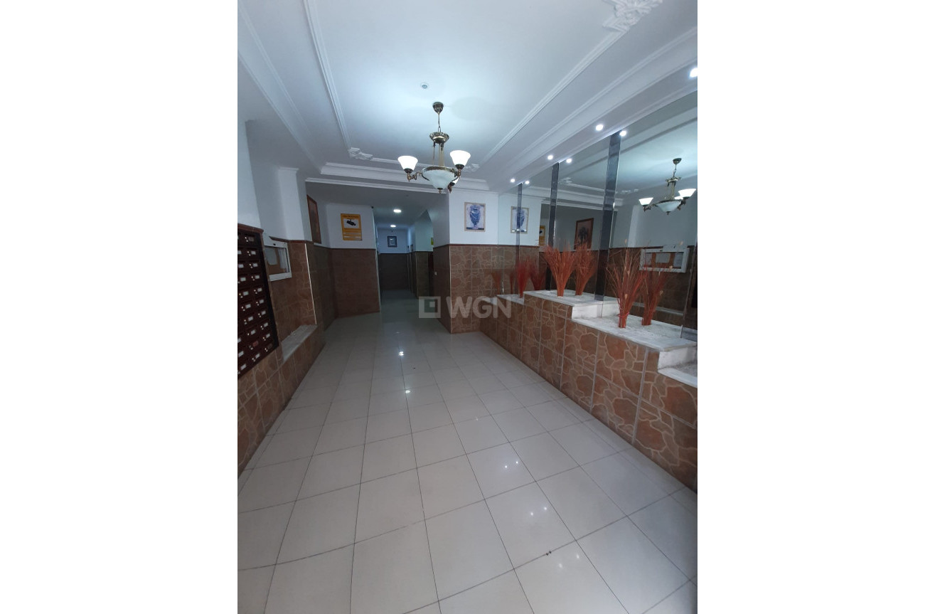 Reventa - Apartamento / piso - Torrevieja - Costa Blanca