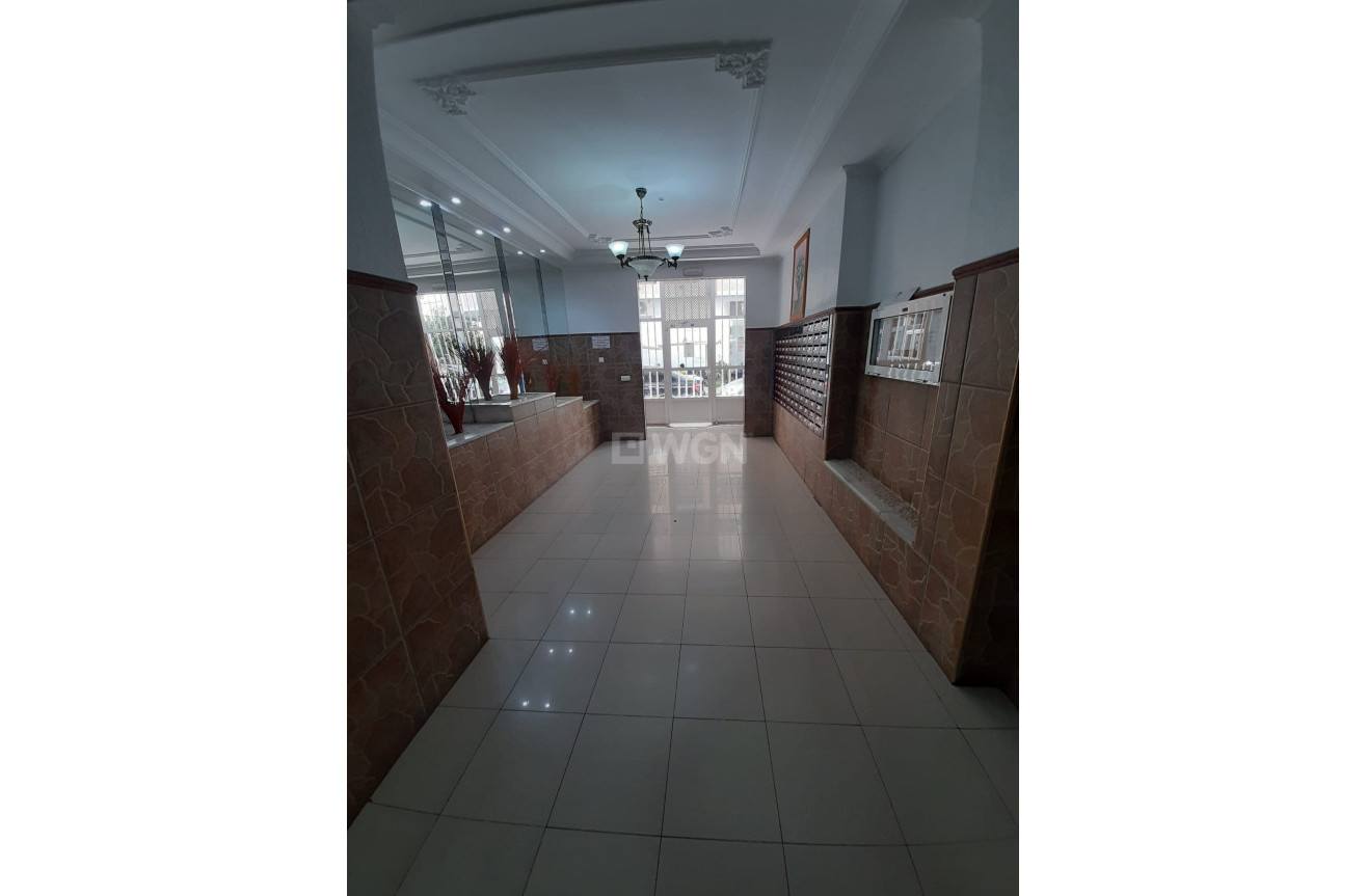 Reventa - Apartamento / piso - Torrevieja - Costa Blanca