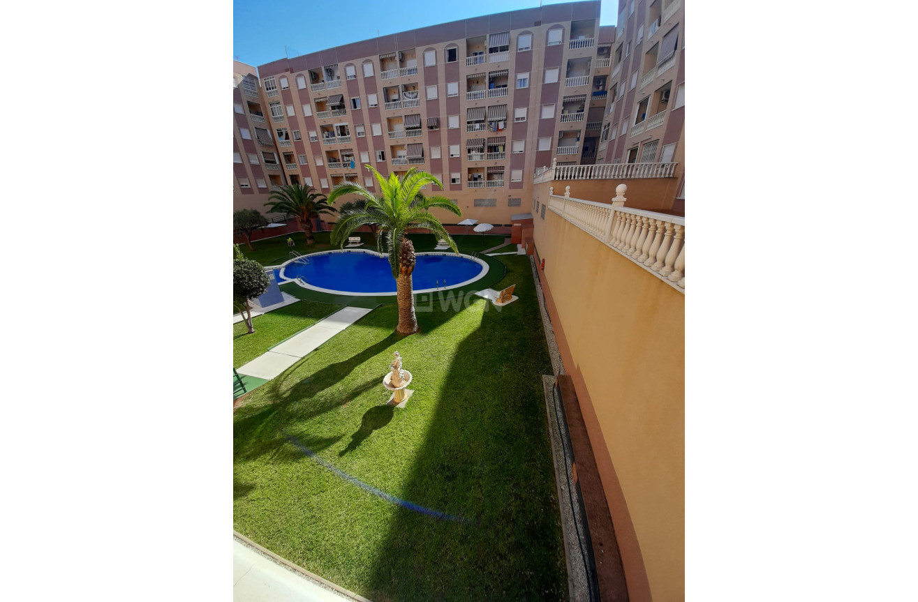 Reventa - Apartamento / piso - Torrevieja - Costa Blanca