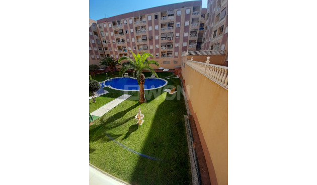 Reventa - Apartamento / piso - Torrevieja - Costa Blanca