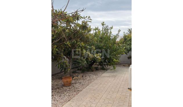 Resale - Villa - Playa Flamenca - Costa Blanca