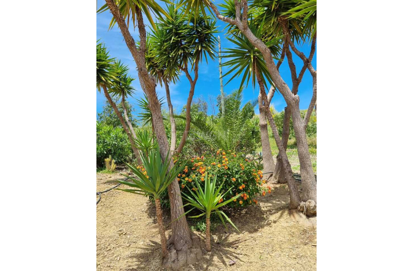 Odsprzedaż - Villa - Alcaucín - Inland