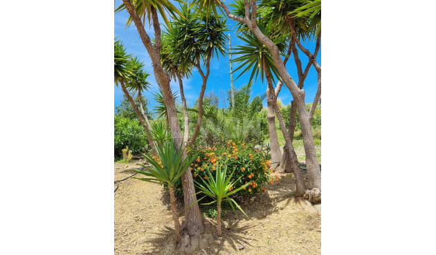 Odsprzedaż - Villa - Alcaucín - Inland