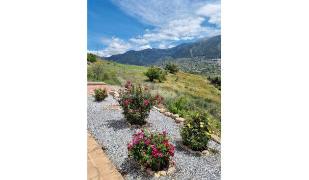 Odsprzedaż - Villa - Alcaucín - Inland