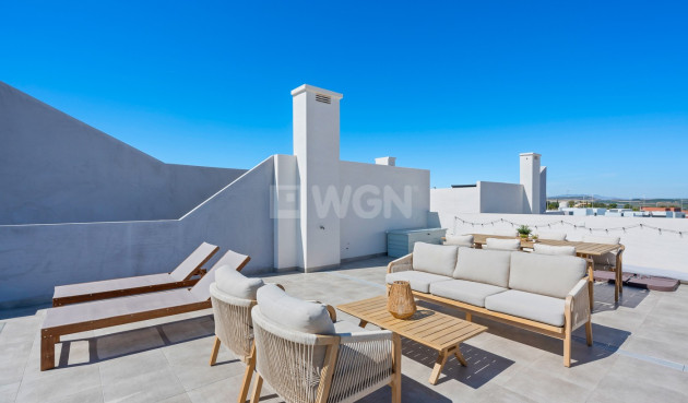 Resale - Apartment / flat - San Miguel de Salinas - Inland