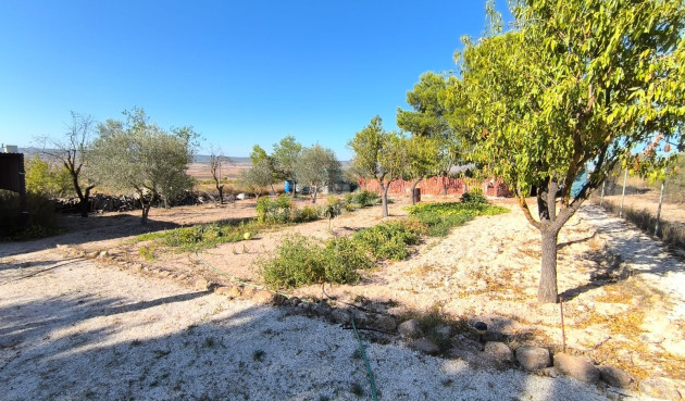 Resale - Villa - Yecla - Inland