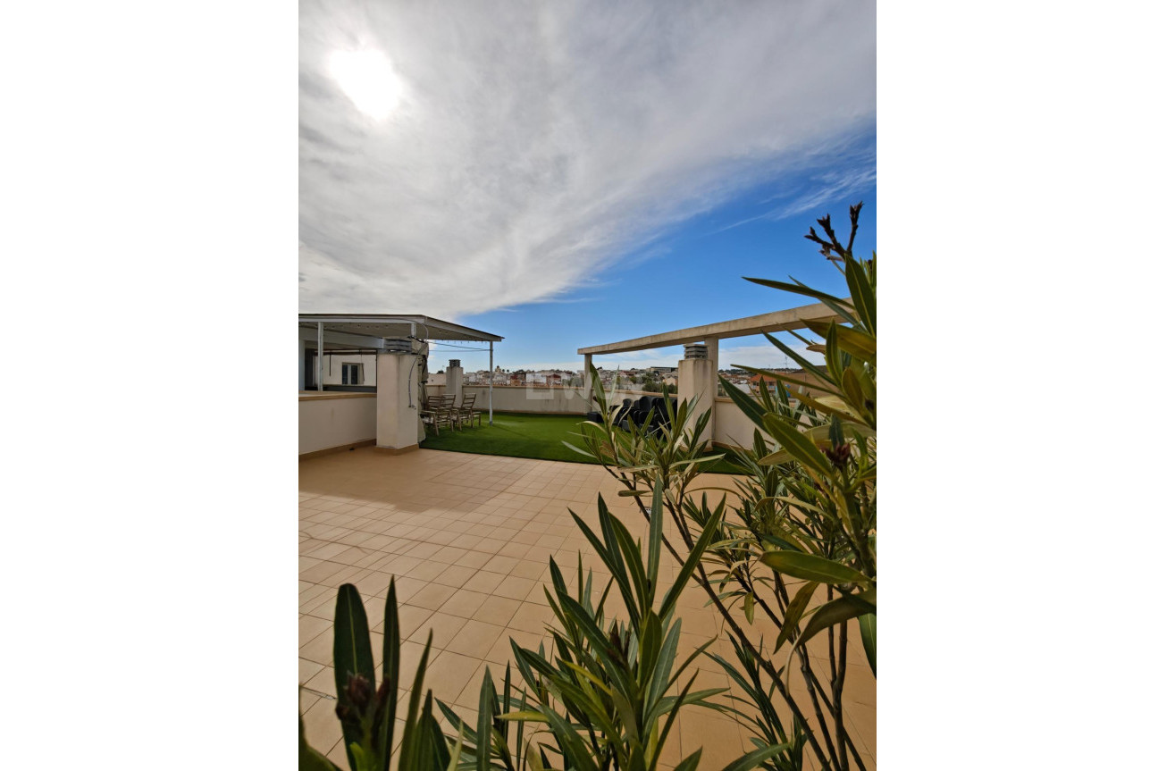 Resale - Apartment / flat - San Miguel de Salinas - Pueblo 9