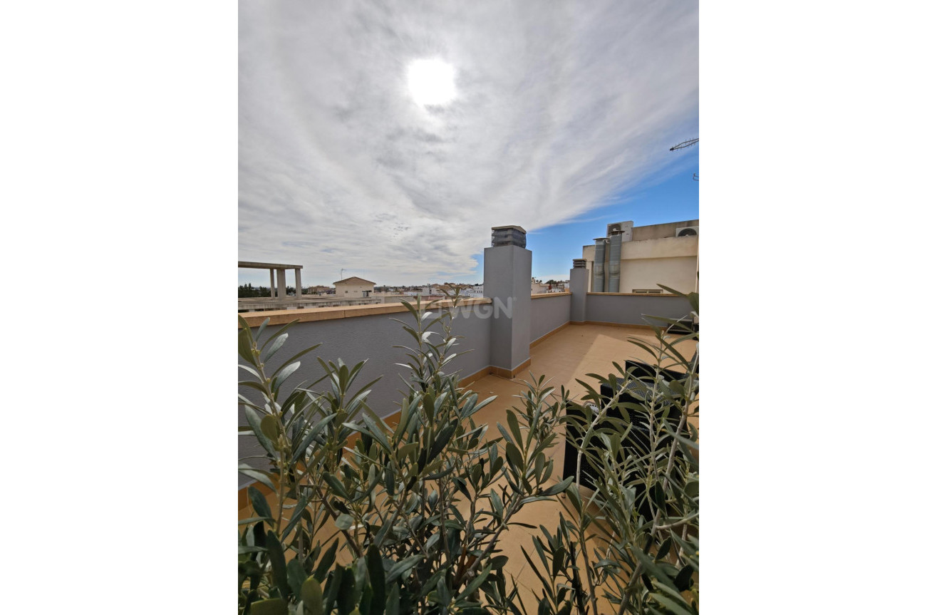 Resale - Apartment / flat - San Miguel de Salinas - Pueblo 9