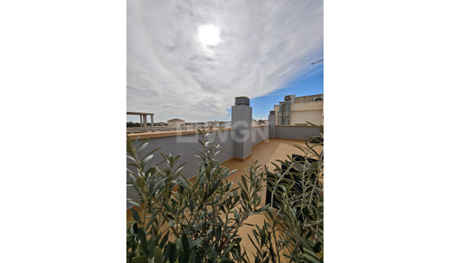 Resale - Apartment / flat - San Miguel de Salinas - Pueblo 9