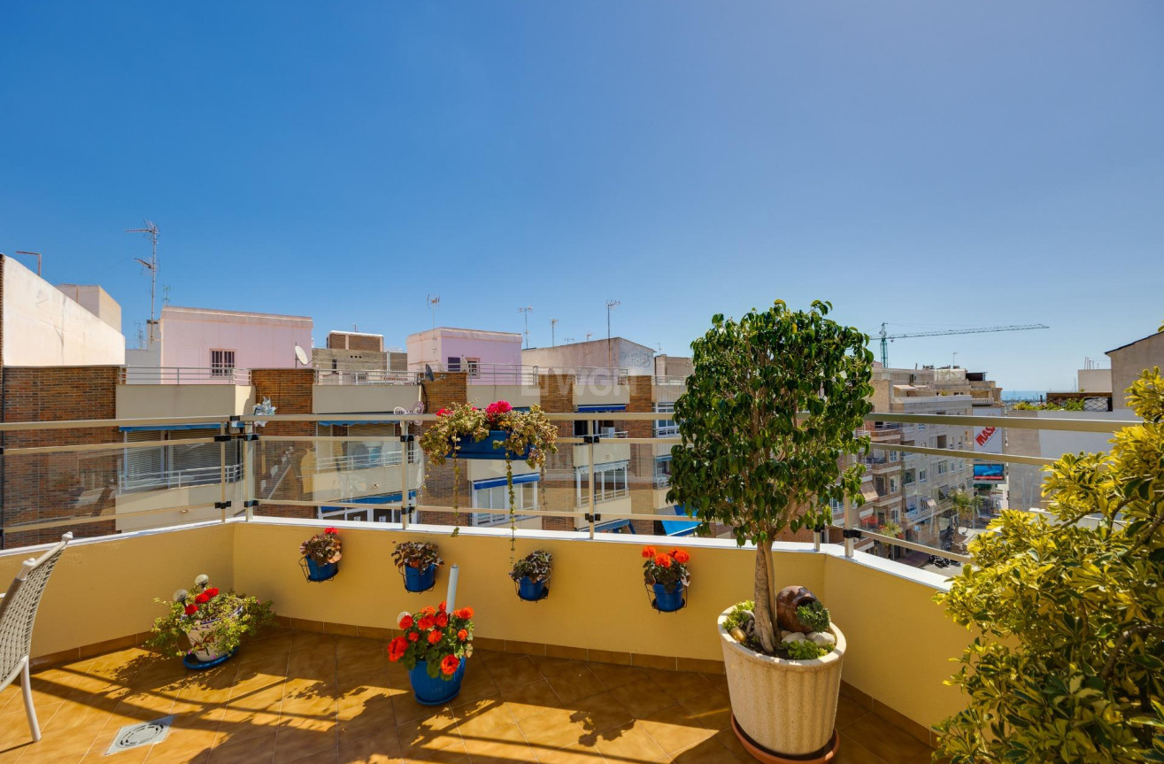 Resale - Penthouse - Torrevieja - Centro