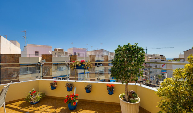 Resale - Penthouse - Torrevieja - Centro