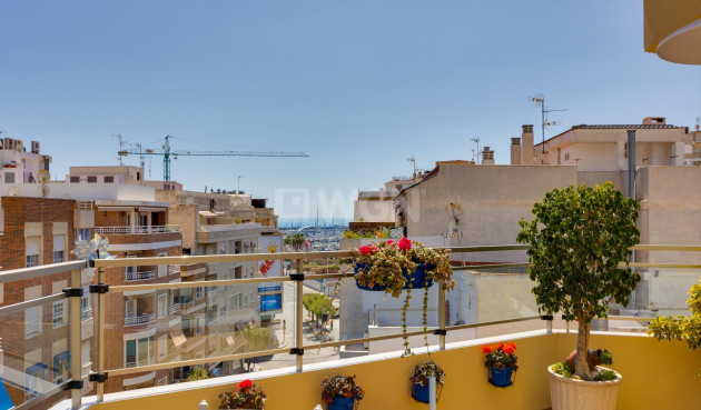 Resale - Penthouse - Torrevieja - Centro
