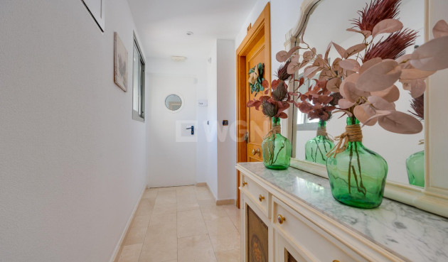 Resale - Penthouse - Torrevieja - Centro