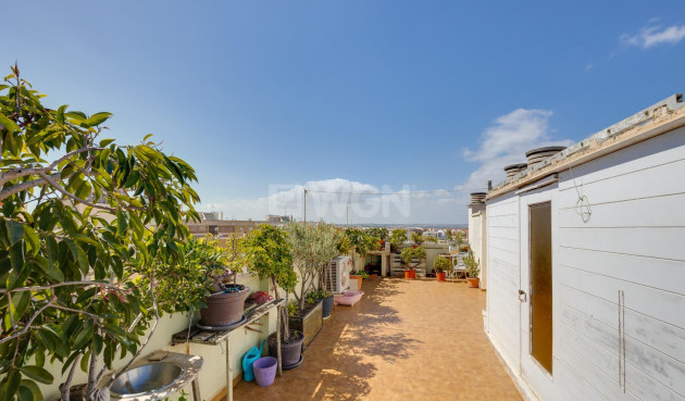 Resale - Penthouse - Torrevieja - Centro