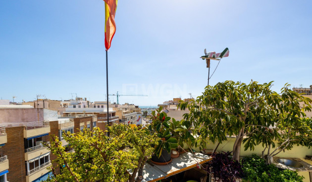 Resale - Penthouse - Torrevieja - Centro