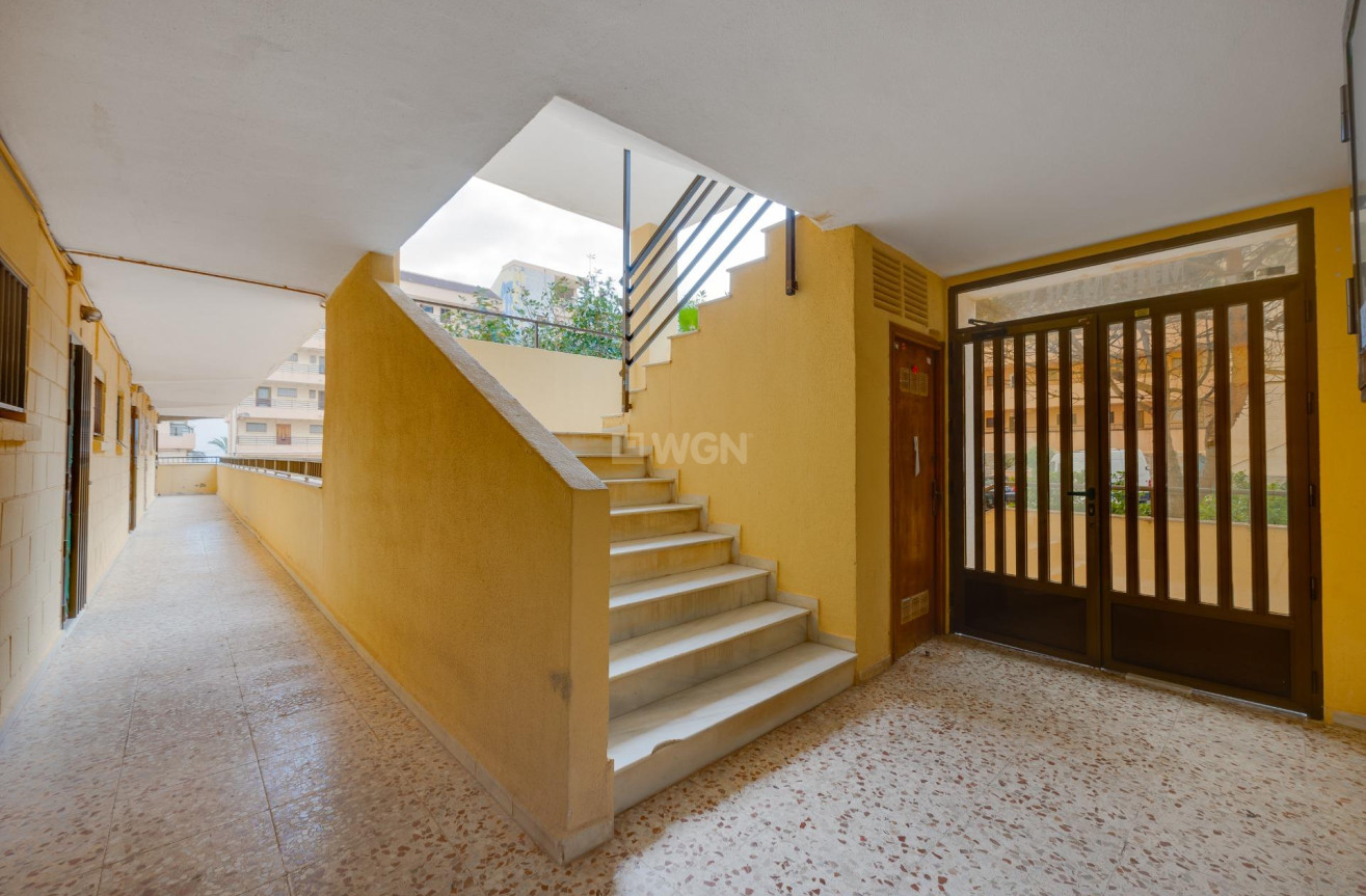 Odsprzedaż - Mieszkanie w bloku - Torrevieja - Cabo Cervera