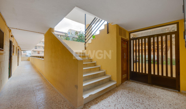Odsprzedaż - Mieszkanie w bloku - Torrevieja - Cabo Cervera