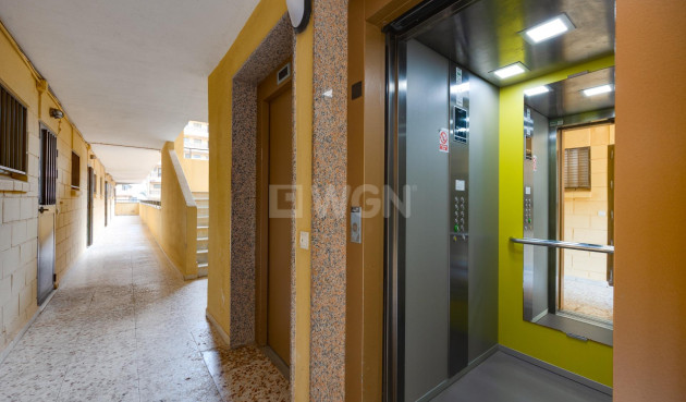 Odsprzedaż - Mieszkanie w bloku - Torrevieja - Cabo Cervera