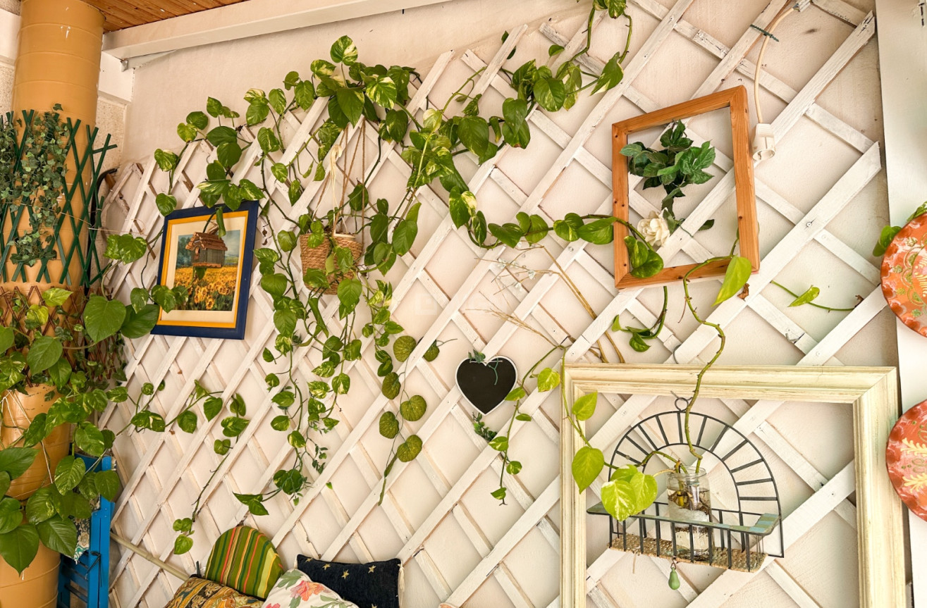 Wiederverkauf - Wohnung - Torrevieja - Costa Blanca