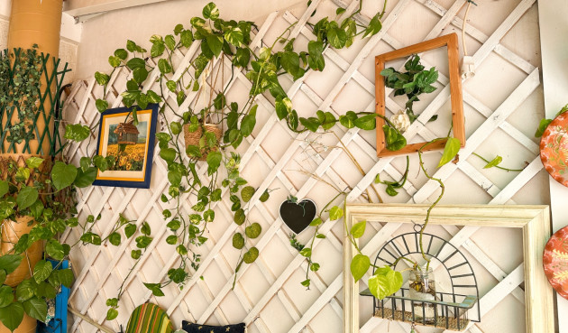 Wiederverkauf - Wohnung - Torrevieja - Costa Blanca