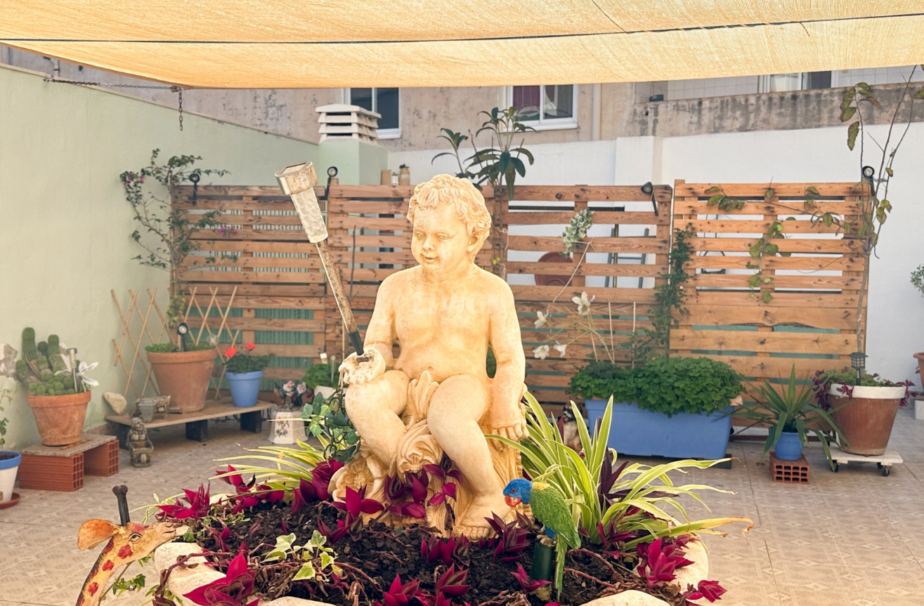 Wiederverkauf - Wohnung - Torrevieja - Costa Blanca