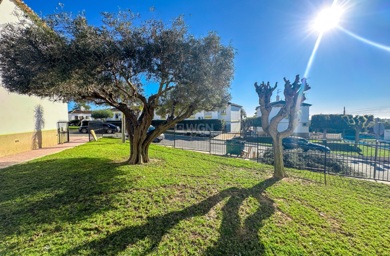 Reventa - Apartamento / piso - Villamartin - Costa Blanca