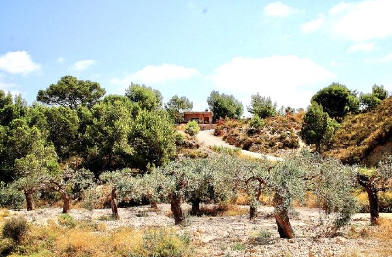 Resale - Villa - Murcia - Inland