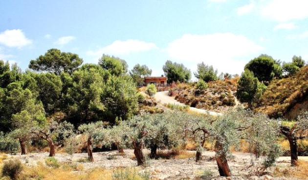 Resale - Villa - Murcia - Inland