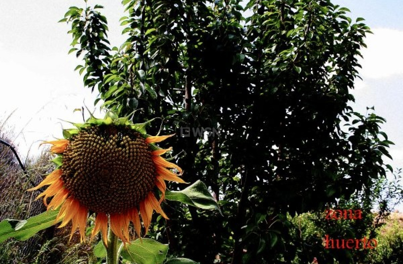 Resale - Villa - Murcia - Inland