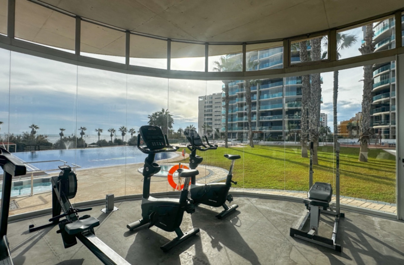 Resale - Apartment / flat - Torrevieja - Costa Blanca