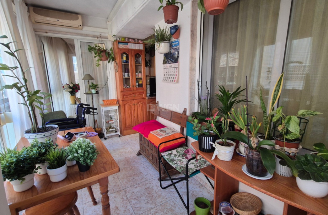 Wiederverkauf - Wohnung - Torrevieja - Costa Blanca