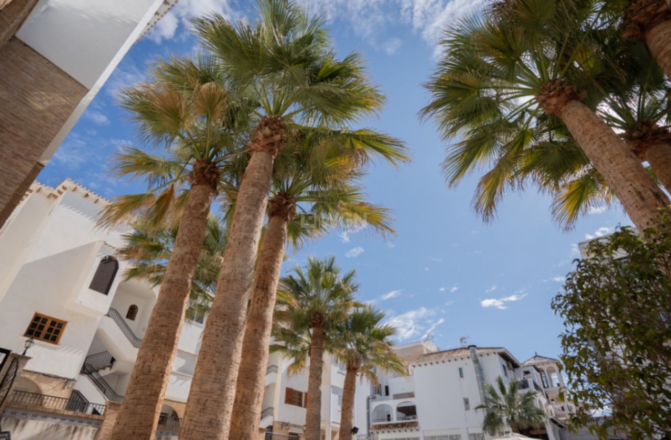 Resale - Apartment / flat - Orihuela - Inland