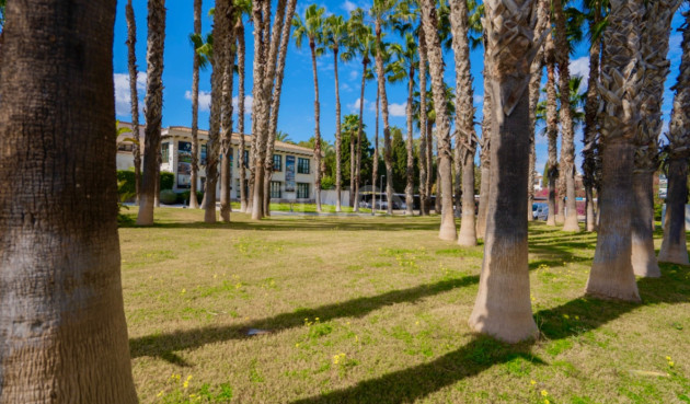 Resale - Apartment / flat - Orihuela - Inland