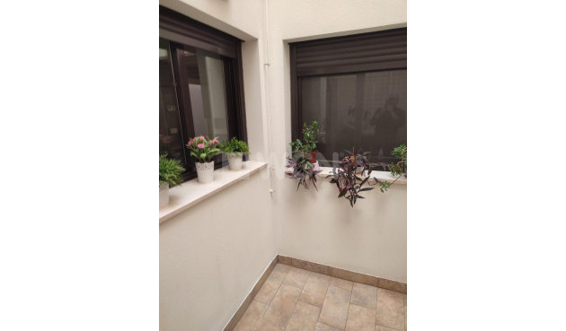 Resale - Apartment / flat - Orihuela - Zona Centro