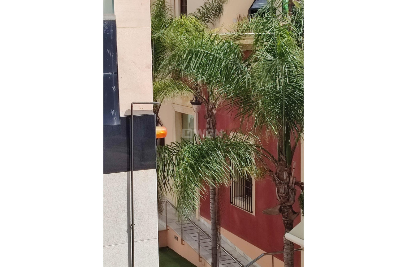 Resale - Apartment / flat - Orihuela - Zona Centro