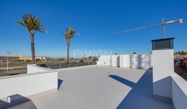 Nowy budynek - Villa - Torrevieja - Sector 25
