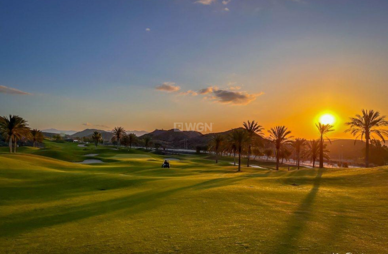 New Build - Penthouse - Pulpi - Aguilón Golf