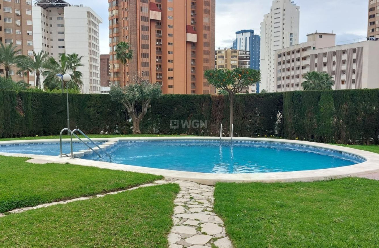 Reventa - Apartamento / piso - Benidorm - Levante