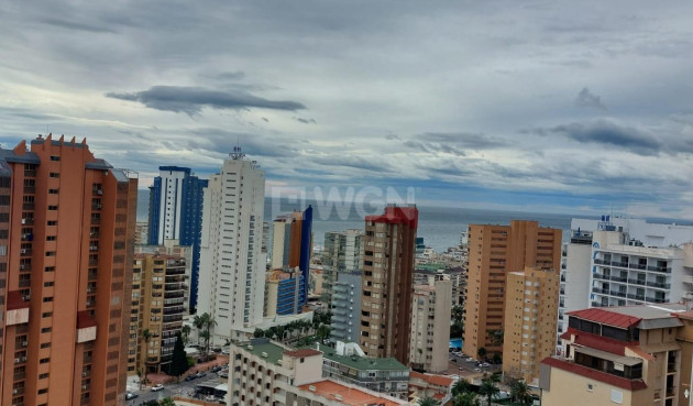 Reventa - Apartamento / piso - Benidorm - Levante