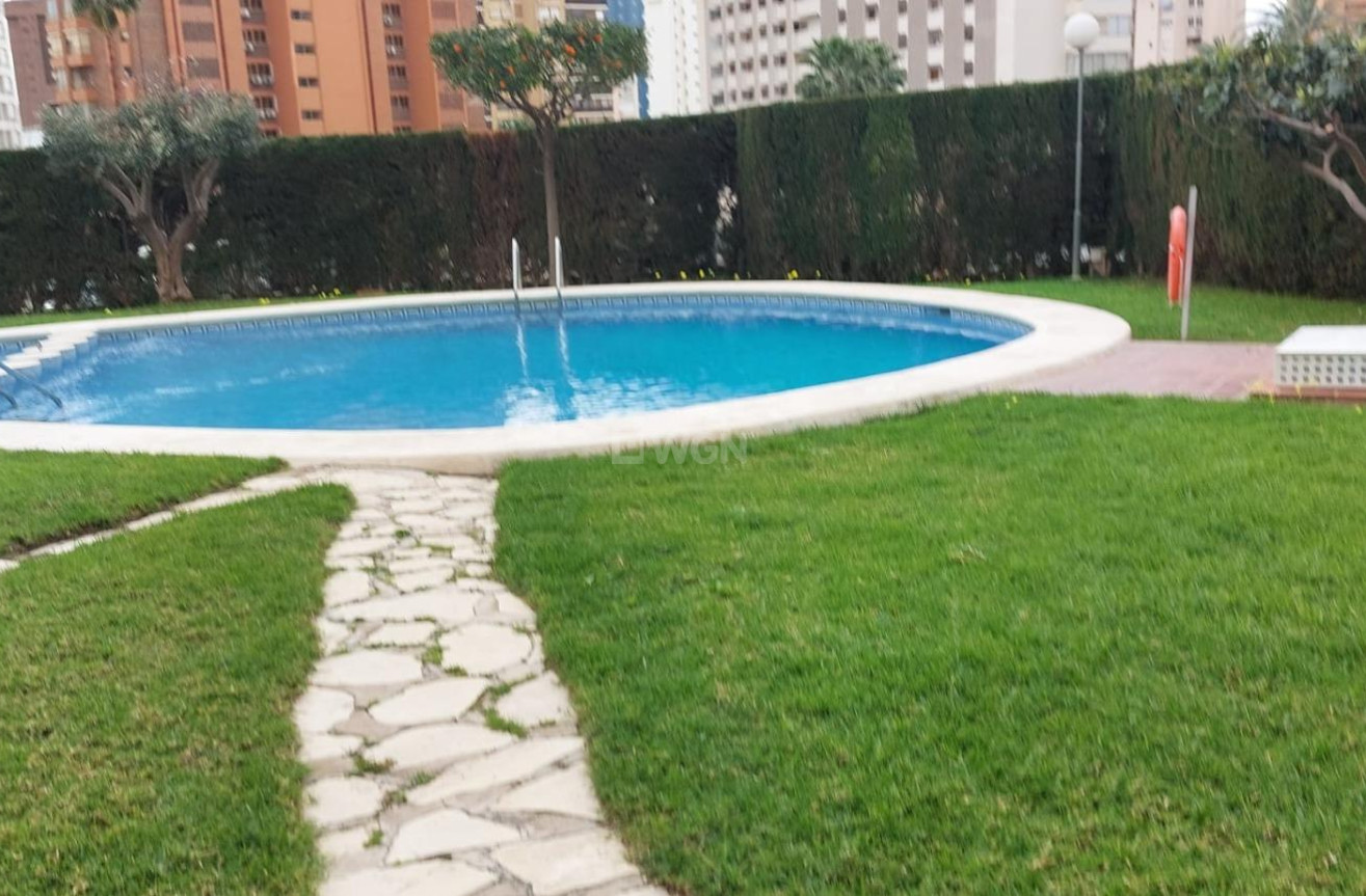 Reventa - Apartamento / piso - Benidorm - Levante