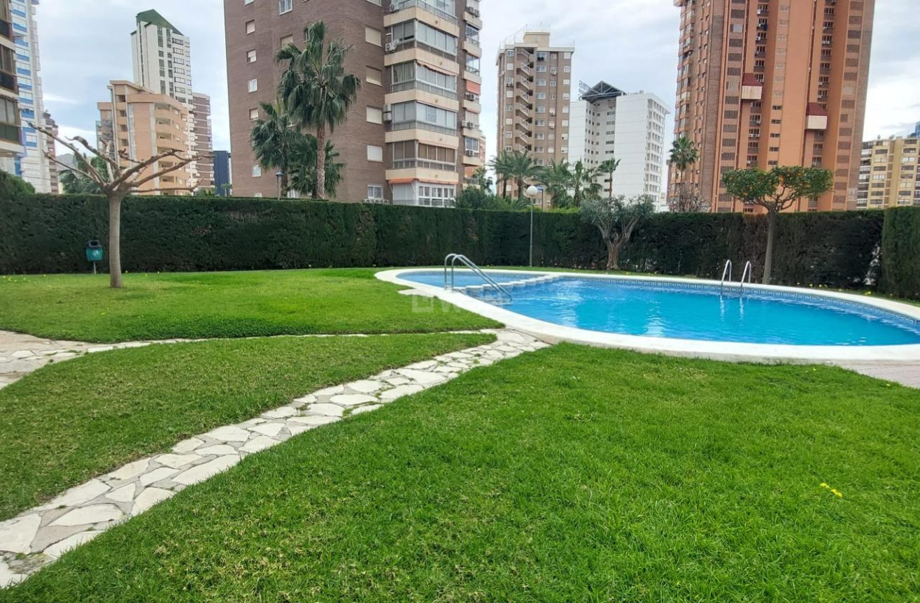 Reventa - Apartamento / piso - Benidorm - Levante
