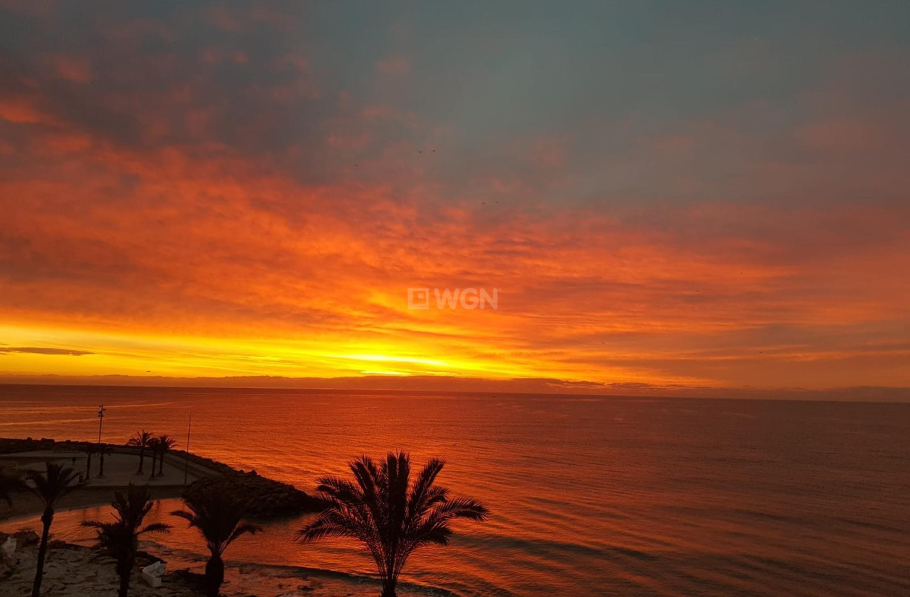 Resale - Apartment / flat - Torrevieja - Las Piscinas Naturales