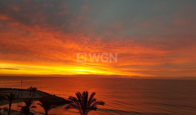 Resale - Apartment / flat - Torrevieja - Las Piscinas Naturales