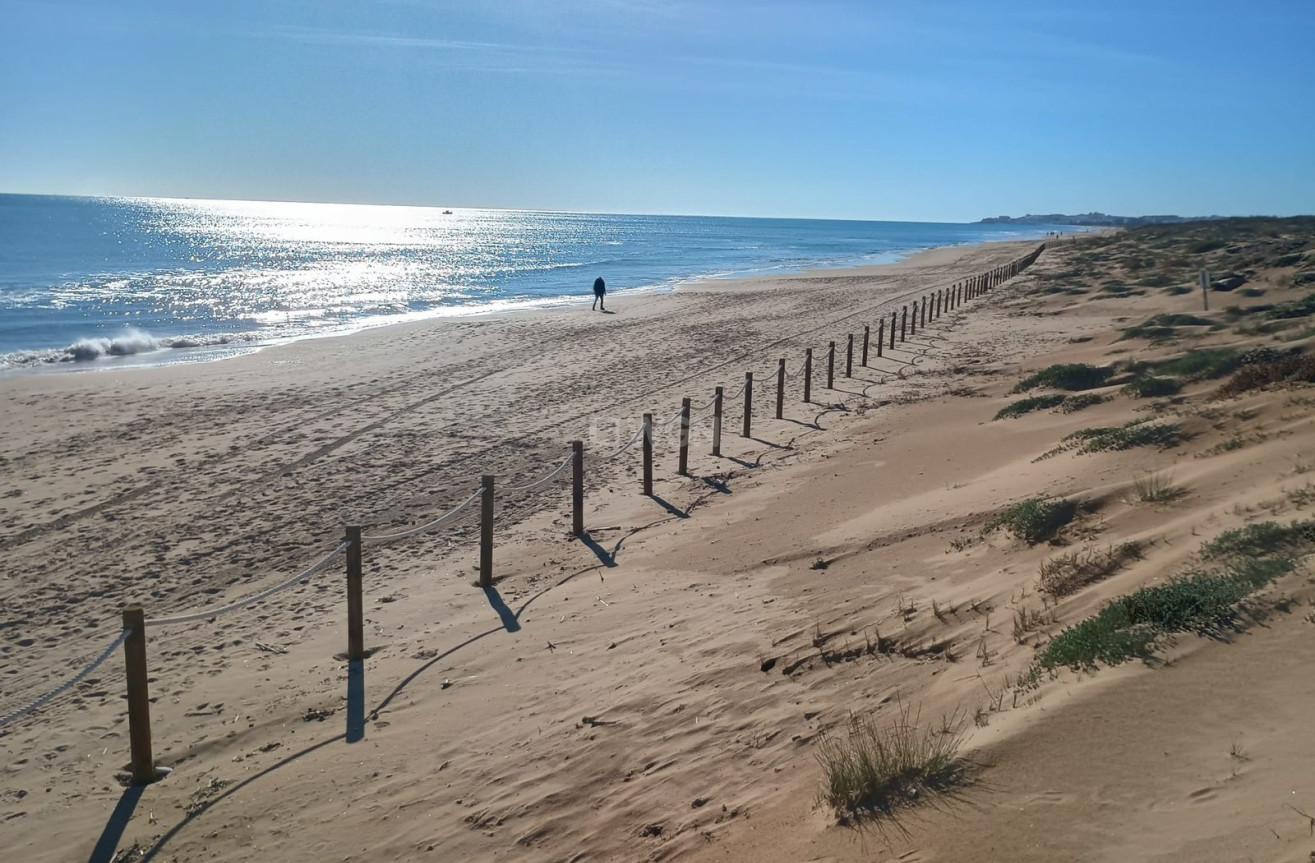 Reventa - Apartamento / piso - Guardamar del Segura - Costa Blanca