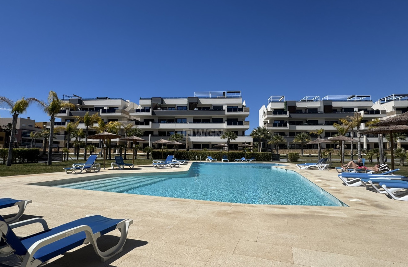 Reventa - Apartamento / piso - Playa Flamenca - Costa Blanca