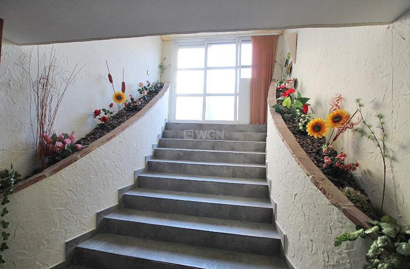 Reventa - Villa - Formentera del Segura - C- Cooperativa