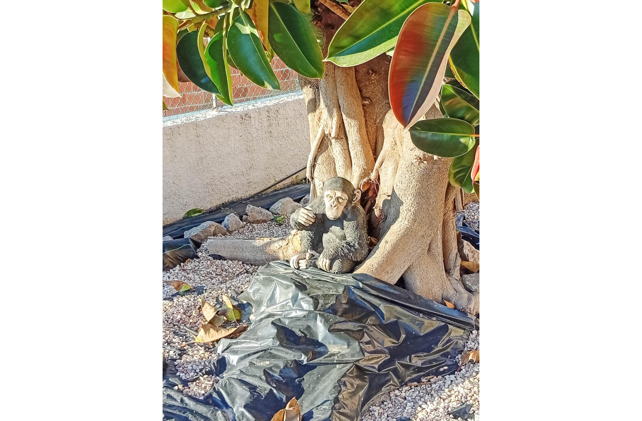 Wiederverkauf - Villa - Torrevieja - La Siesta