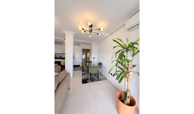 Reventa - Ático - Torrevieja - Playa del Cura