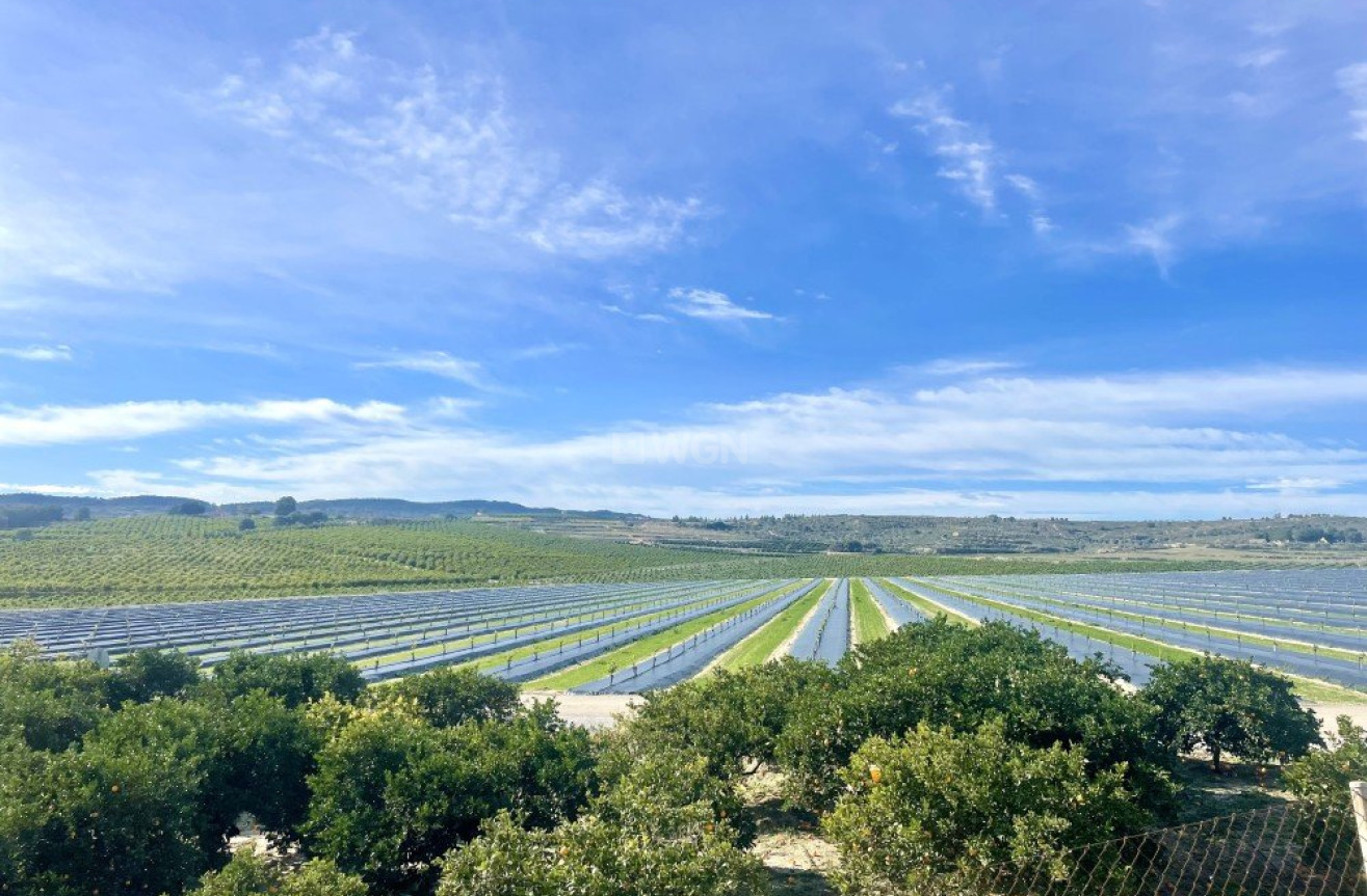 Reventa - Apartamento / piso - Orihuela Costa - Costa Blanca